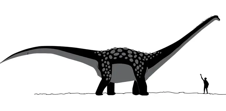 Antarctosaurus Giganteus