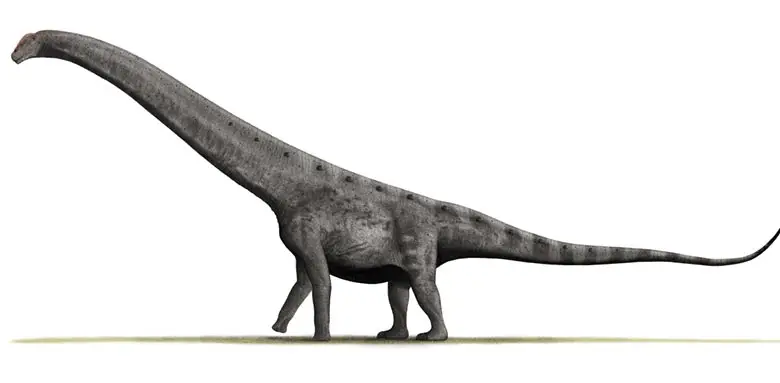 Argentinosaurus Huincuslensis