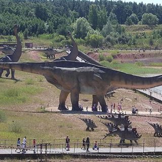 List of The 10 Heaviest Dinosaurs That Ever Lived – Weight of Stuff