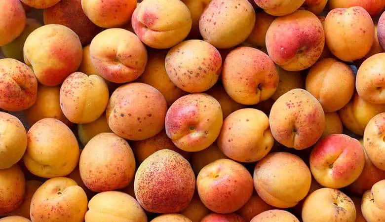Apricots-light-weight