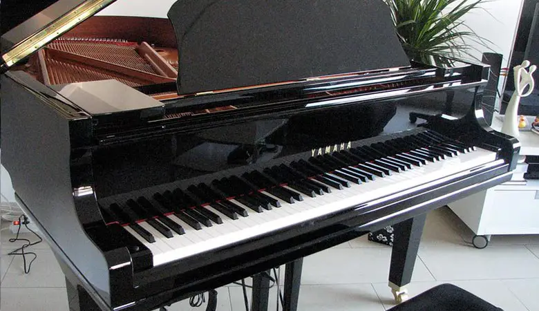 Grand-Piano-500-kilograms