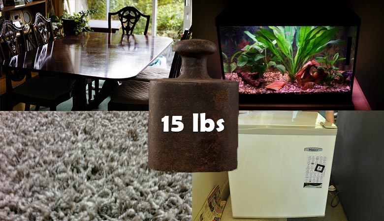 household-items-that-weigh-15-pounds