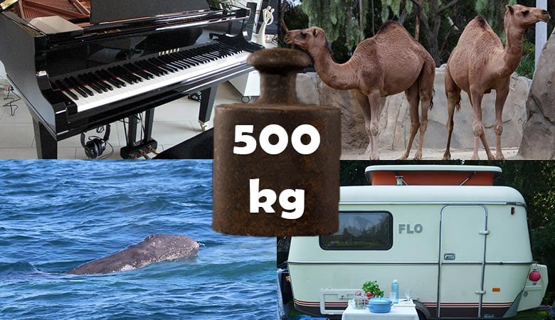 things-that-weigh-500-kilograms-kg