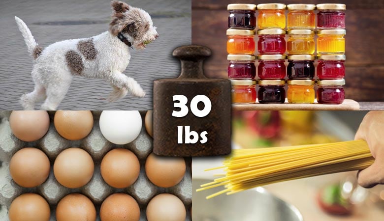13-Common-Items-That-Weigh-About-30-Pounds