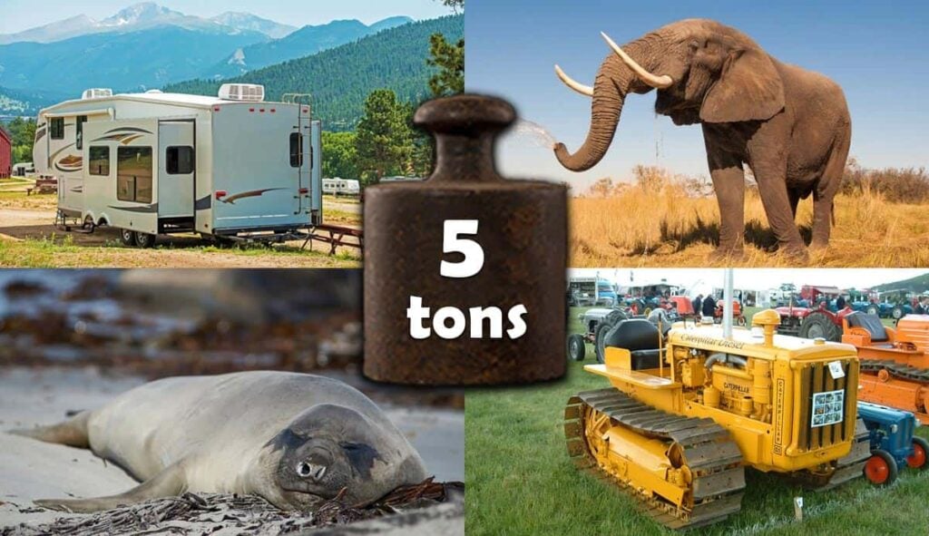 things that weigh 5 tons1