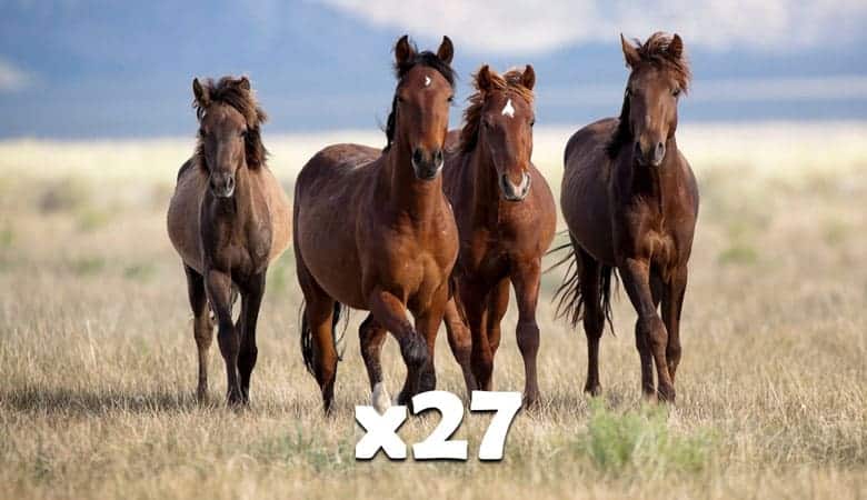 27 horses 16 tons