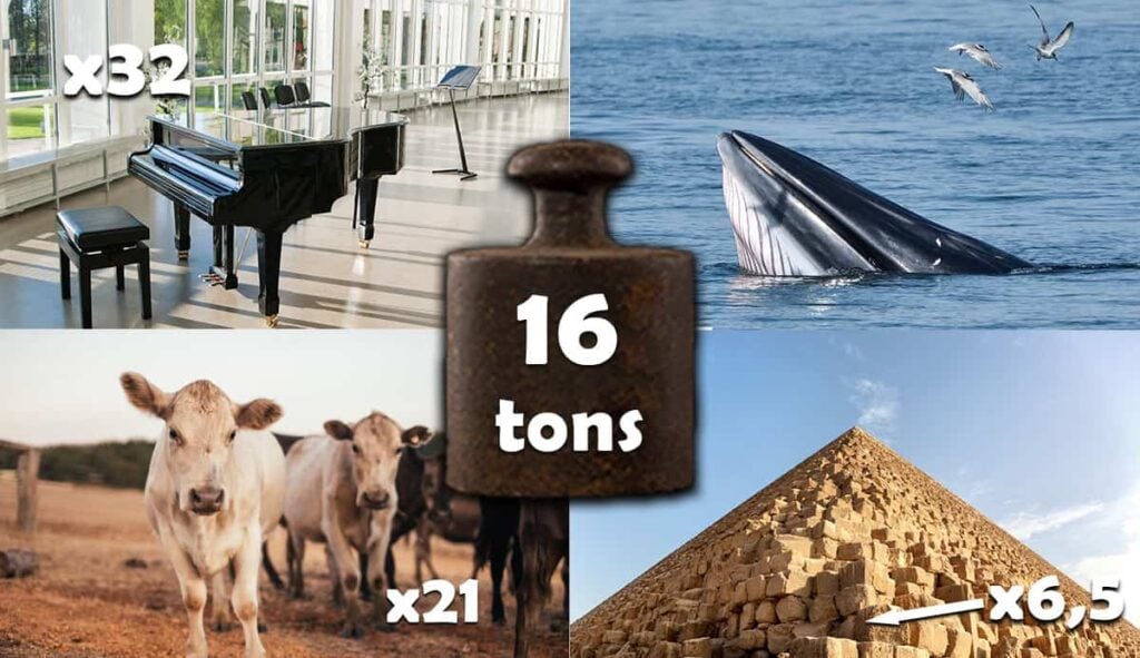 things-that-weigh-16-tons