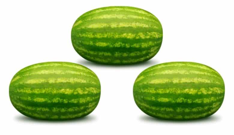 3 watermelons 25 kg