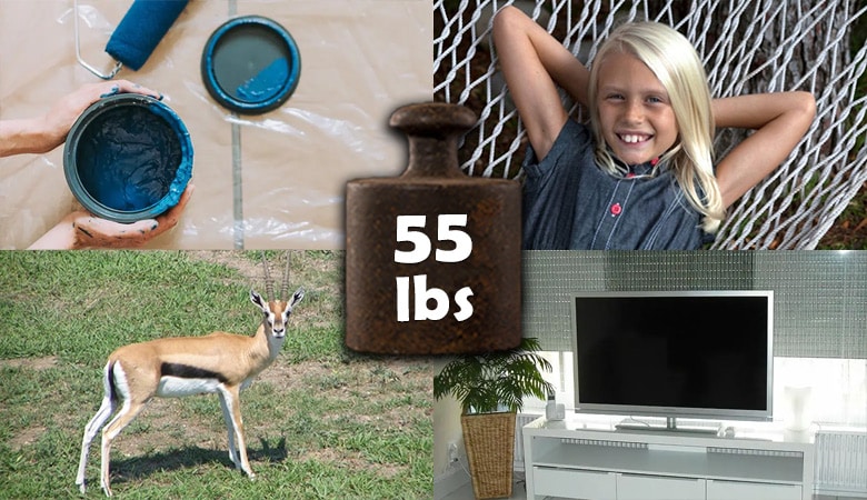 things that weigh 55 lbs
