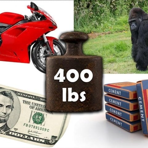 7 Things That Weigh Around 400 Pounds (lbs) – Weight of Stuff