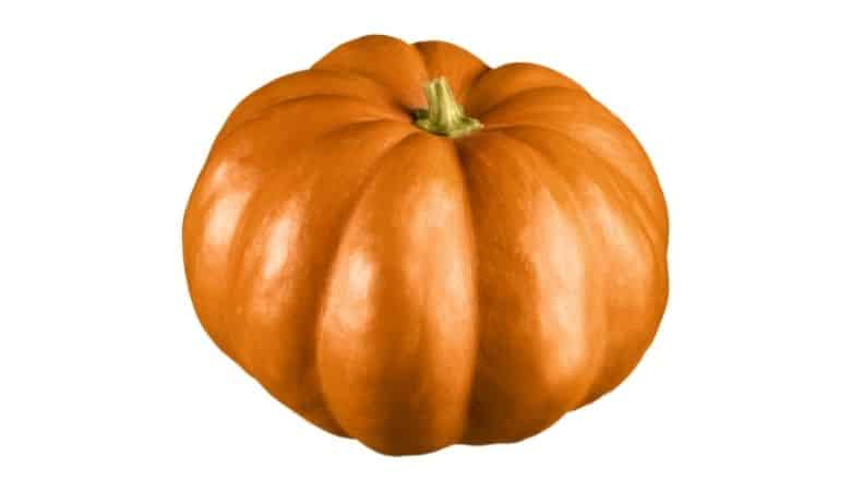 Pumpkin 45 kg