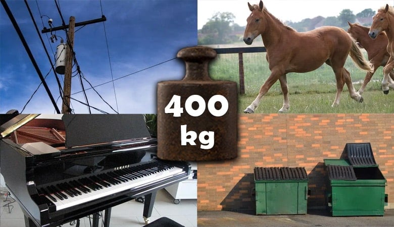 things that weigh 400 kg