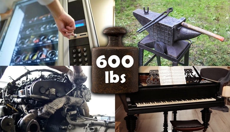 things that weigh 600 lbs