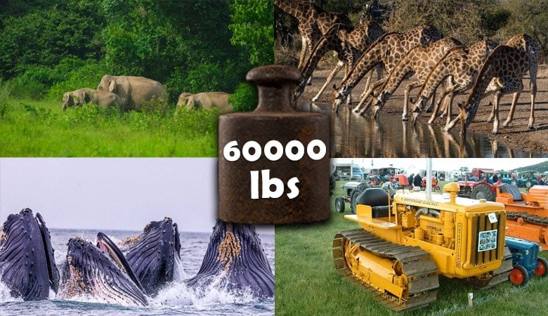 things that weigh 60000 lbs