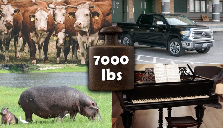 things-that-weigh-7000-lbs