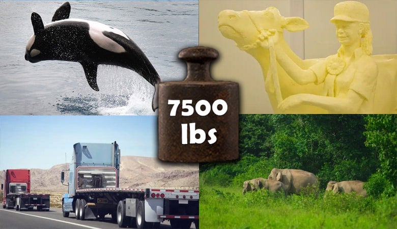things-that-weigh-7500-lbs