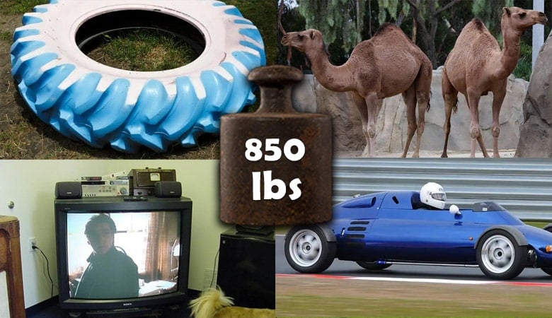 things that weigh 850 lbs