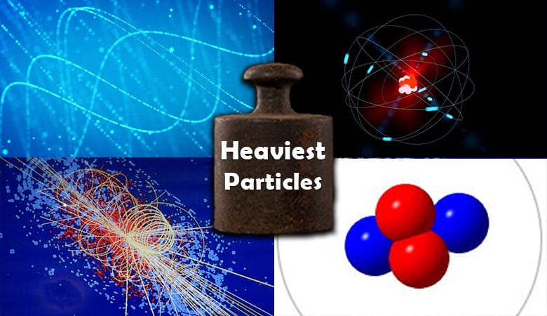 heaviest-particles