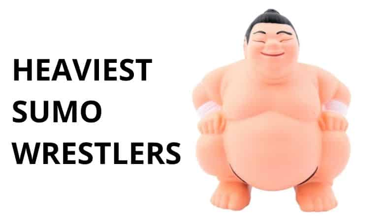 The 9 Heaviest Sumo Wrestlers of All Time